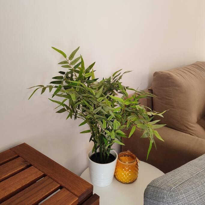 Apartamento Casinha Dos Passis Quarteira Exterior foto